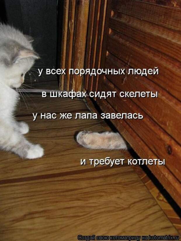 Котоматрицы(картинки с надписями)