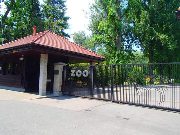 Варшавский зоопарк жабинский сейчас фото 2020