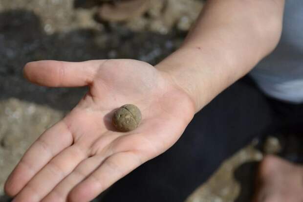 Артефакты древней цивилизации найдены на берегу реки Иордан