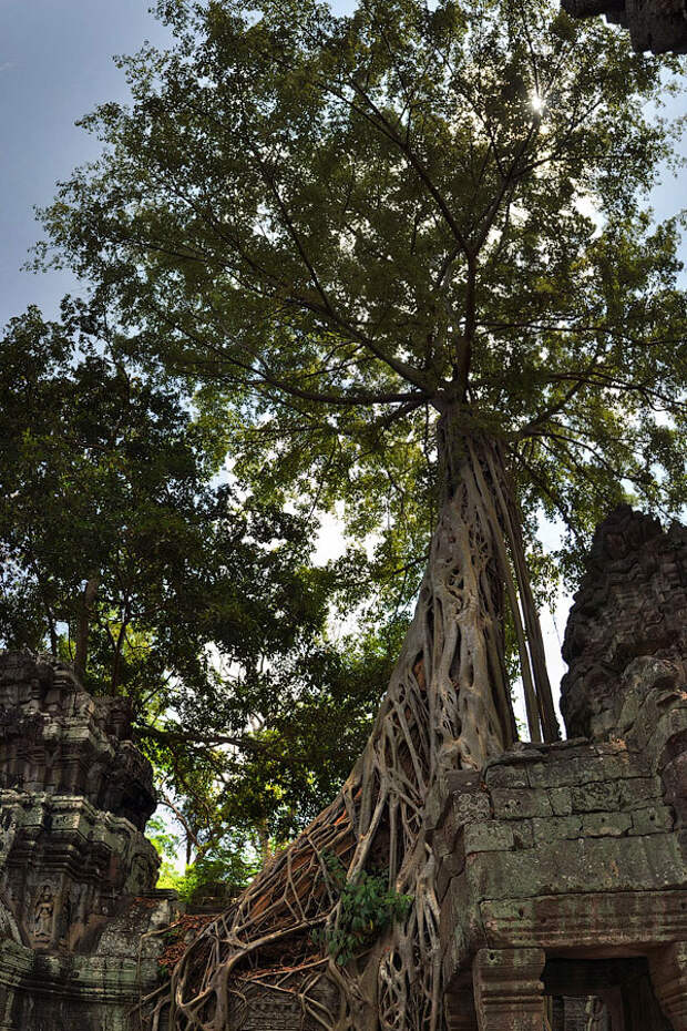 Удивительный и мистический Ангкор Ват