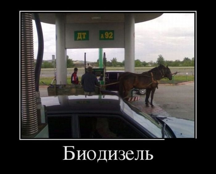 Смешные летние демотиваторы