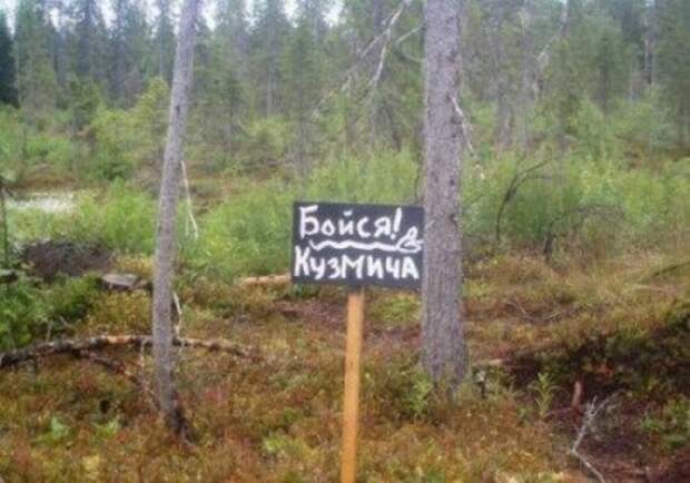 Отдых на природе люди, приколы, природа, фото