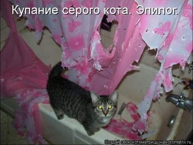 Прикольные котоматрицы (23 шт) Прикольные котоматрицы (23 шт)
