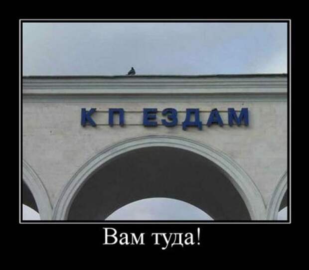 Демотиваторы приколы картинки, заряд отличного настроения!