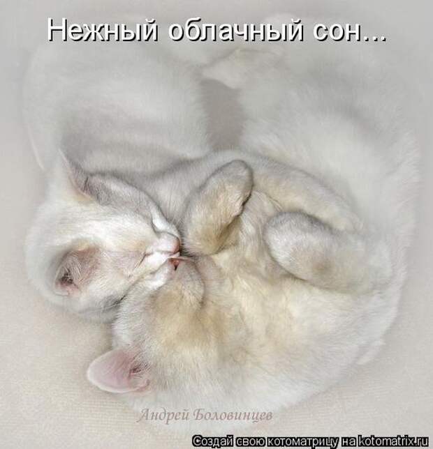 Мысли вслух :)