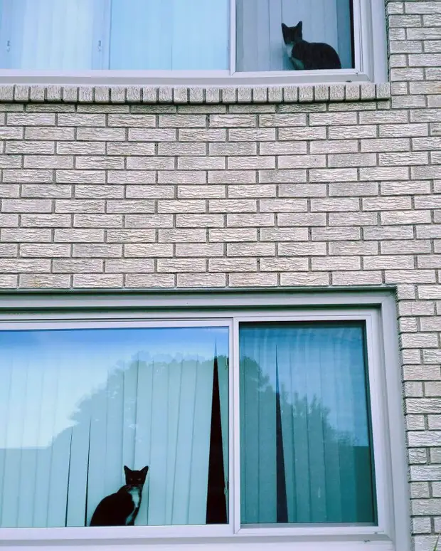 ���� � ������� ��� �������� ���������� � ���� ��������