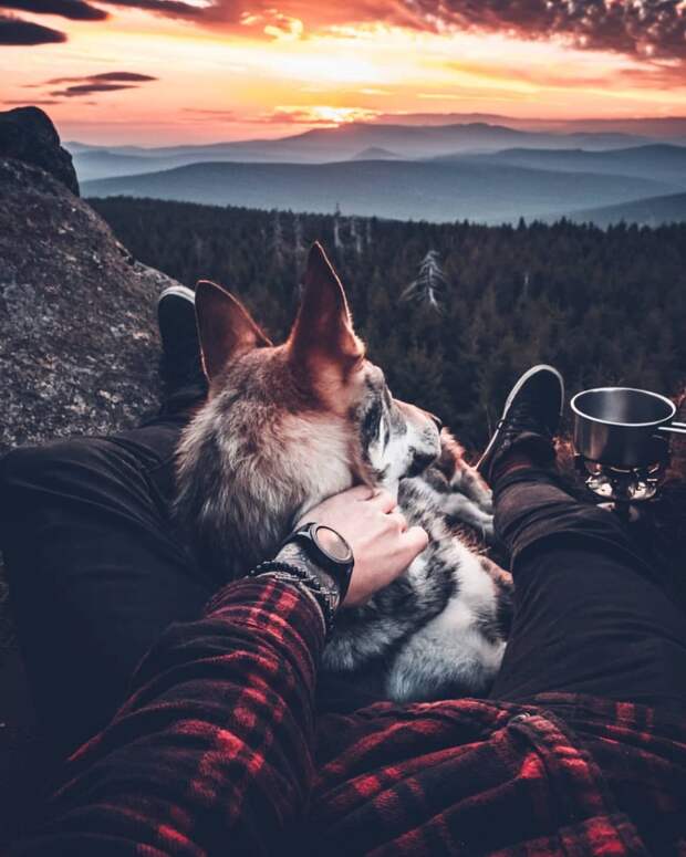 интересные фото на pixmafia.com