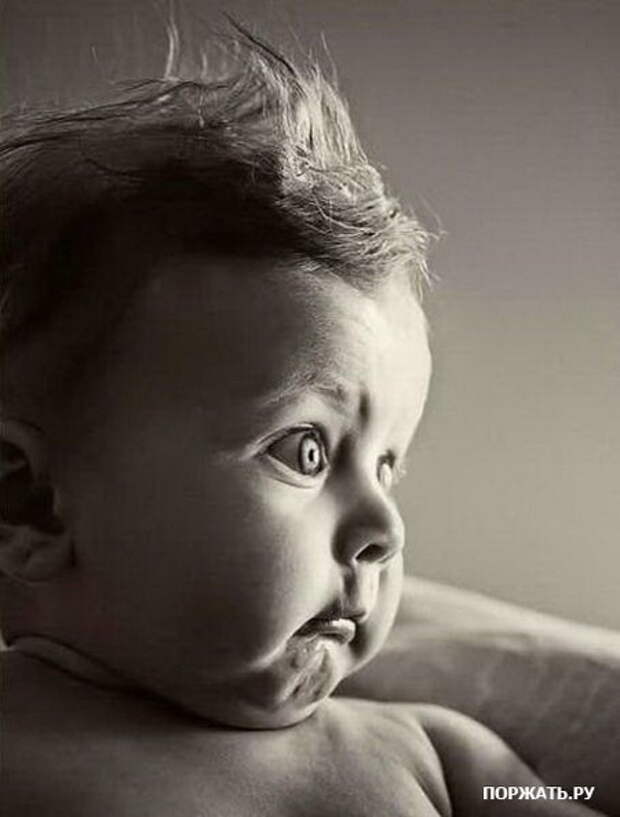 Последние фотоприколы (17 фото)
