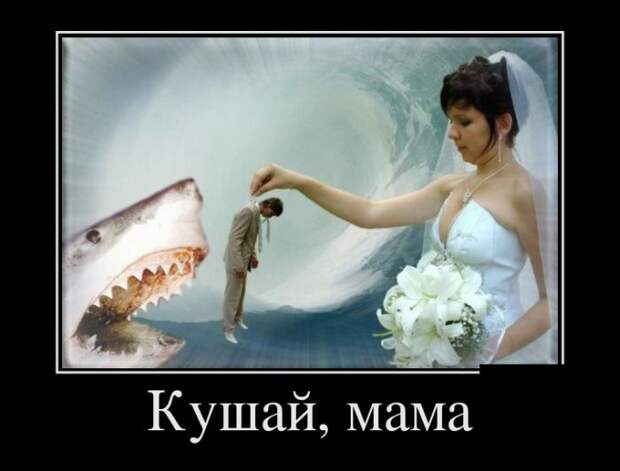 Демотиваторы