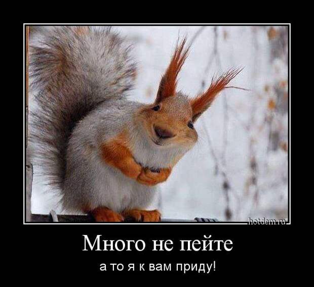 Демотиваторы  демотиваторы, прикол, смех, юмор