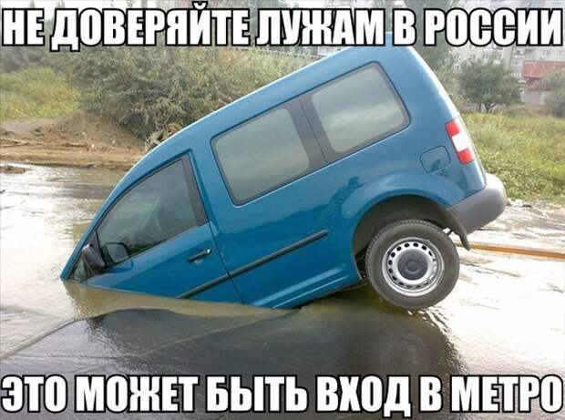 Смешные картинки с подписями катинки, прикол, юмор