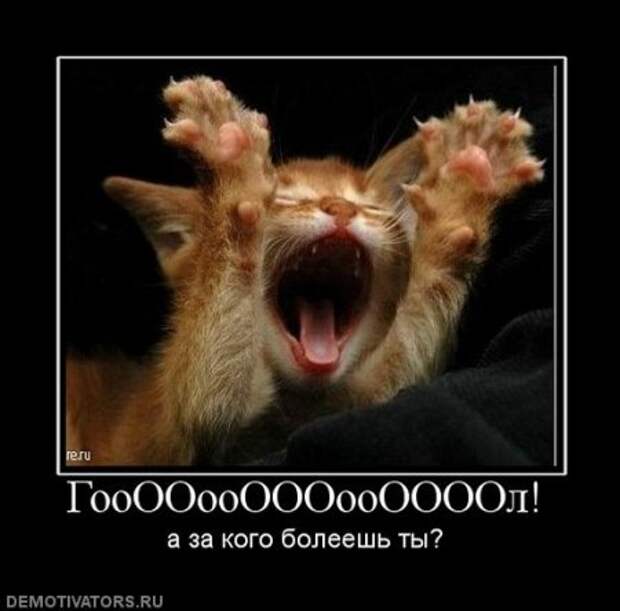 Демотиваторы про котэ, почти как котоматрицы!