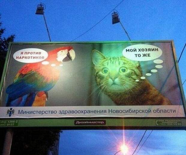 Забавные надписи и объявления
