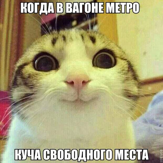 Смешные картинки с подписями катинки, прикол, юмор