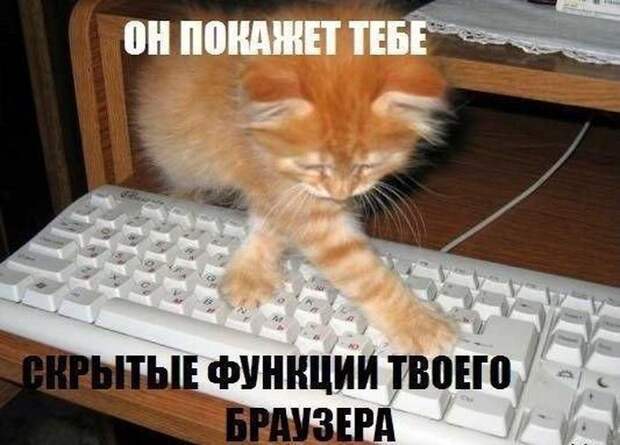 Давайте улыбаться вместе! Давайте улыбаться вместе!