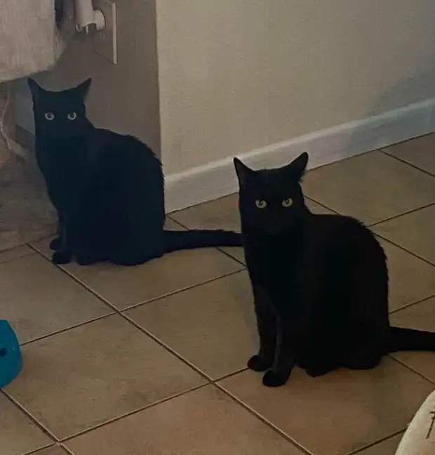 ���� � ������� ��� �������� ���������� � ���� ��������