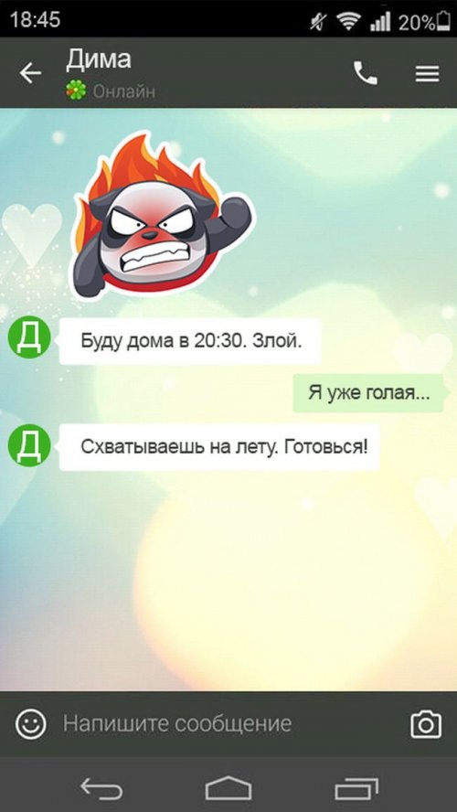 Мужские СМС-ки обо всём на свете (15 шт)