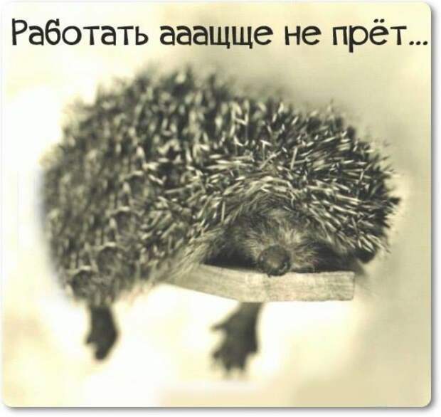 Бесплатная консультация? О! Это все равно дорого!