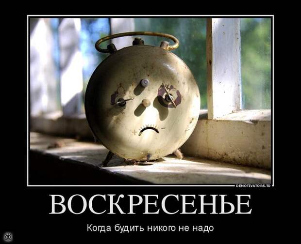 Оставь заботы всяк сюда входящий! 52