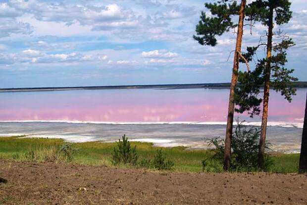 Малиновое озеро в Алтайском крае