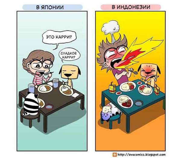 Я живу в Японии и вижу культурные различия между ней и другими странами