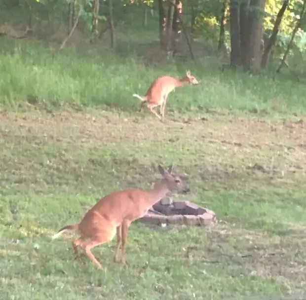 ���� � ������� ��� �������� ���������� � ���� ��������