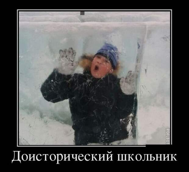 Смешные демотиваторы для всех. Нарезка приколов