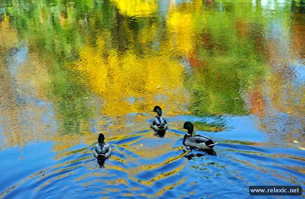 october_019 october_019