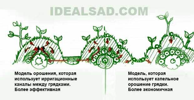 схема полива для высоких грядок без ограждений