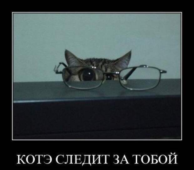 Демки, будет смешно!