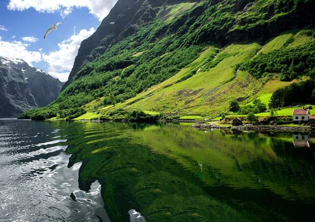 fjords01 Самые красивые фьорды Норвегии