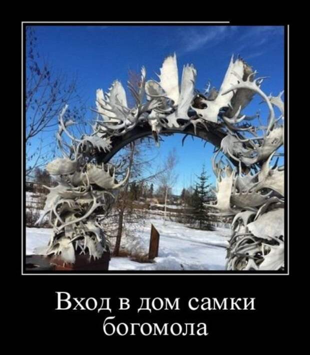 Картинки в черных рамках
