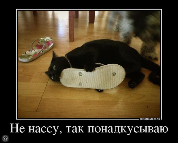 Удачные демотиваторы 25