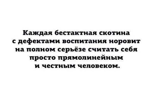 Актуальные цитаты интернета