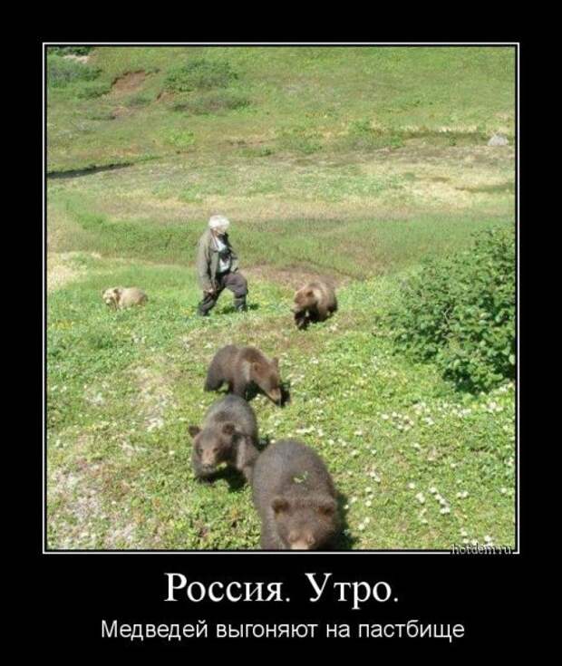 Смешная подборка демотиваторов Смешная подборка демотиваторов