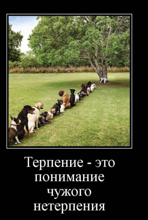Демотиваторы - 989 Демотиваторы - 989