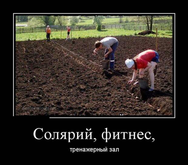 ПОДБОРКА ПРИКОЛЬНЫХ ДЕМОТИВАТОРОВ №356