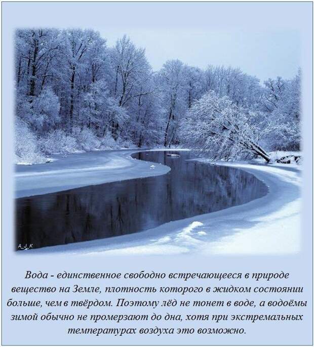 Интересные факты (14 картинок)