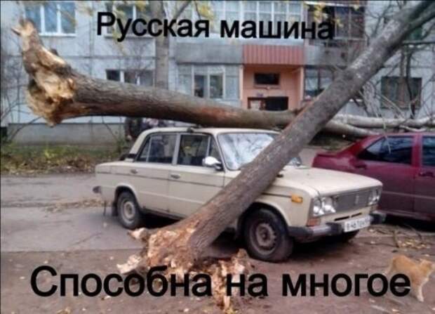 АВТОприкольные картинки (24 фото)