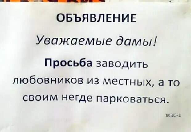 Уважаемые друзья! Часто в различных источниках можно прочесть анекдоты, от которых порой не знаешь — смеяться или плакать.-5
