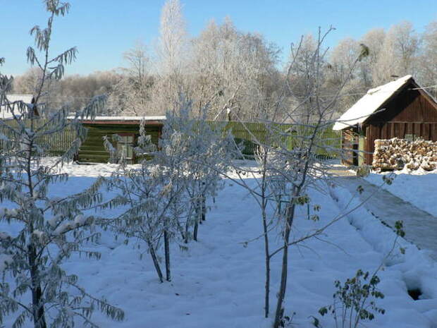 старая баня и сарай старая баня и сарай