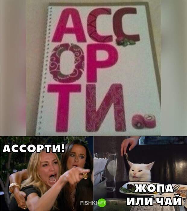 И снова всё опровергающий котик И снова всё опровергающий котик