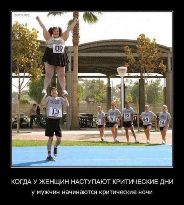 Новенькие демотиваторы с приколами тут.