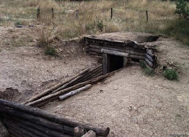 история кота
