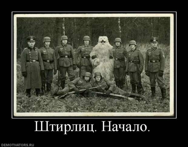 Демотиваторы (107 фото)