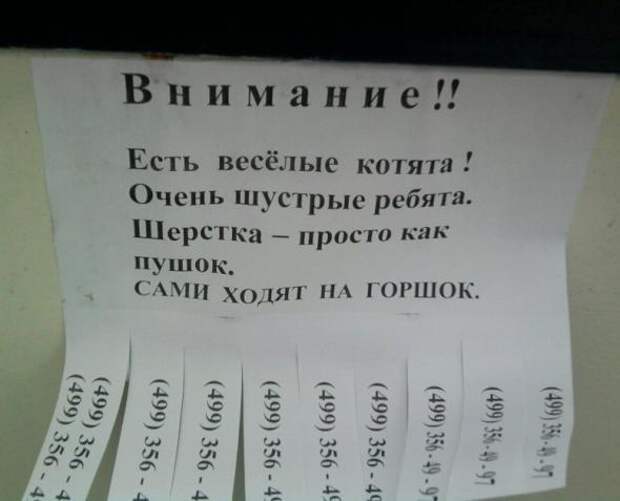 Прикольные надписи, объявления