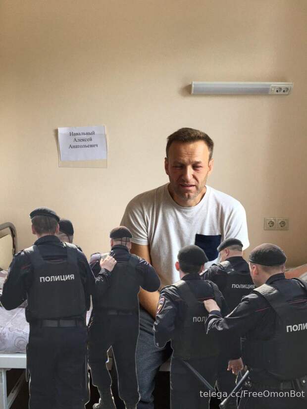 Free Omon Bot