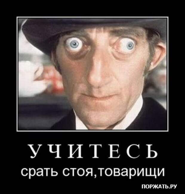 Демотиваторы, юмористические надписи.