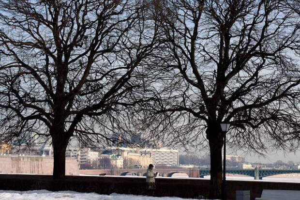 Назван срок прихода настоящей весны
