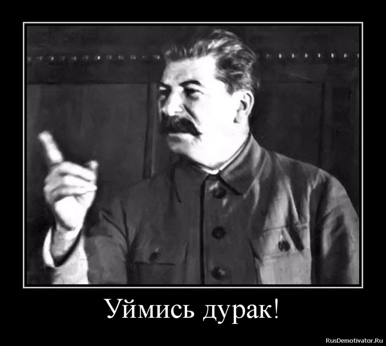 Сталин Смешные Фото